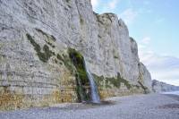 Pisseuse dans falaise de craie (Fécamp, France)